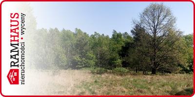 (szerokość: 400 / wysokość: 200)