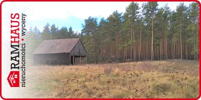 (szerokość: 400 / wysokość: 200)